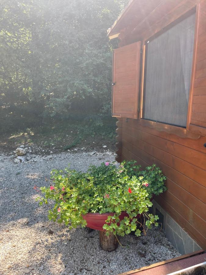 Carpe Diem Retafani Roger'S House Altipiani di Arcinazzo Kültér fotó