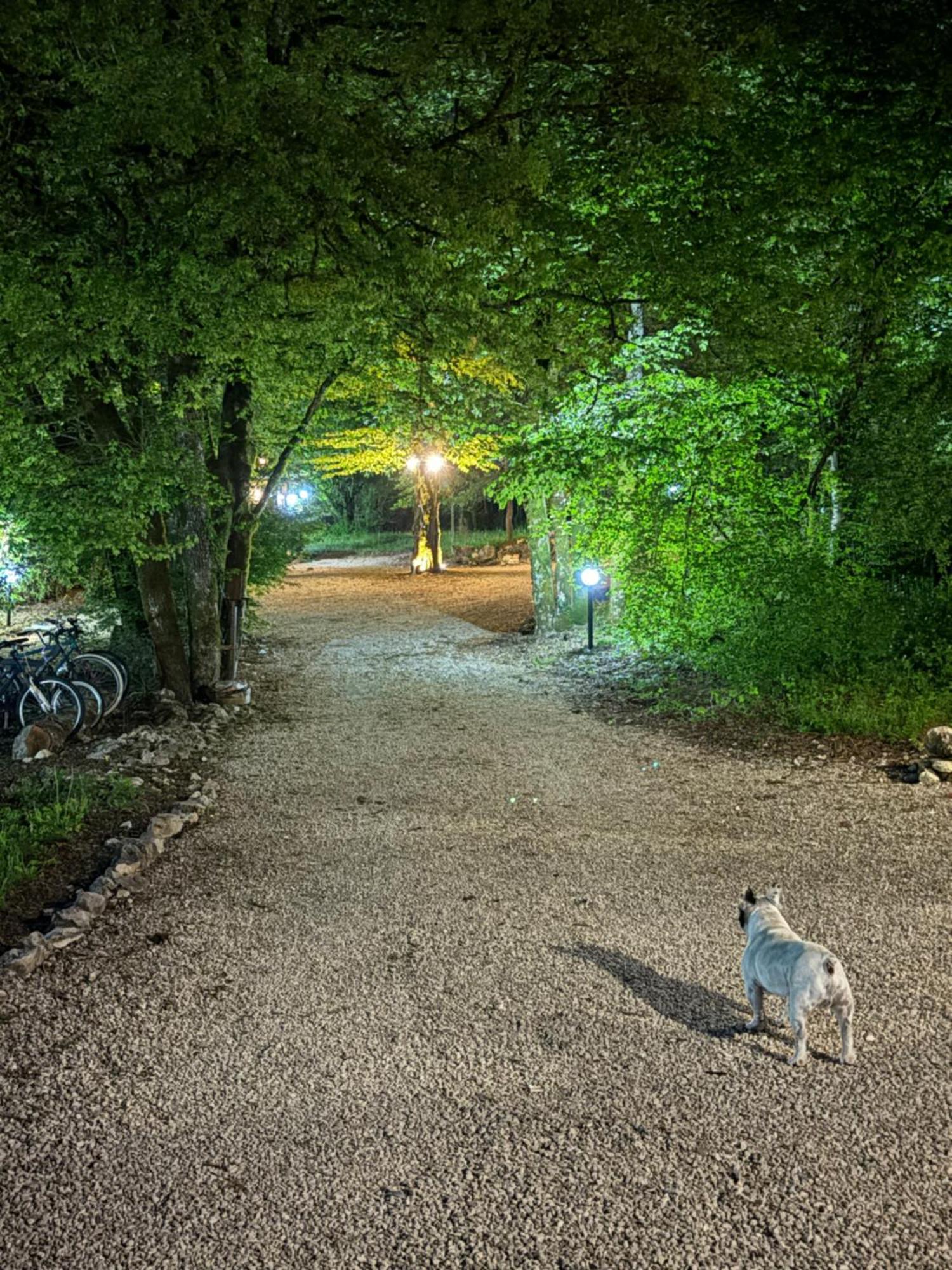 Carpe Diem Retafani Roger'S House Altipiani di Arcinazzo Kültér fotó